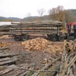 Grumes de chêne de haute qualité PEFC par 1 camion – 60M3