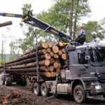 Mélanges de Grumes de hêtre , frêne , chêne , charmes- sec livrées par 1 camion – 60M3